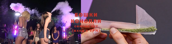 МДПВ Дмитров