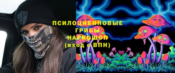 МДПВ Дмитров